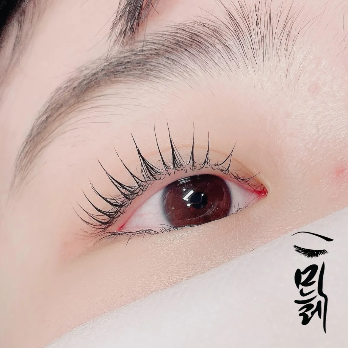 이미지 5