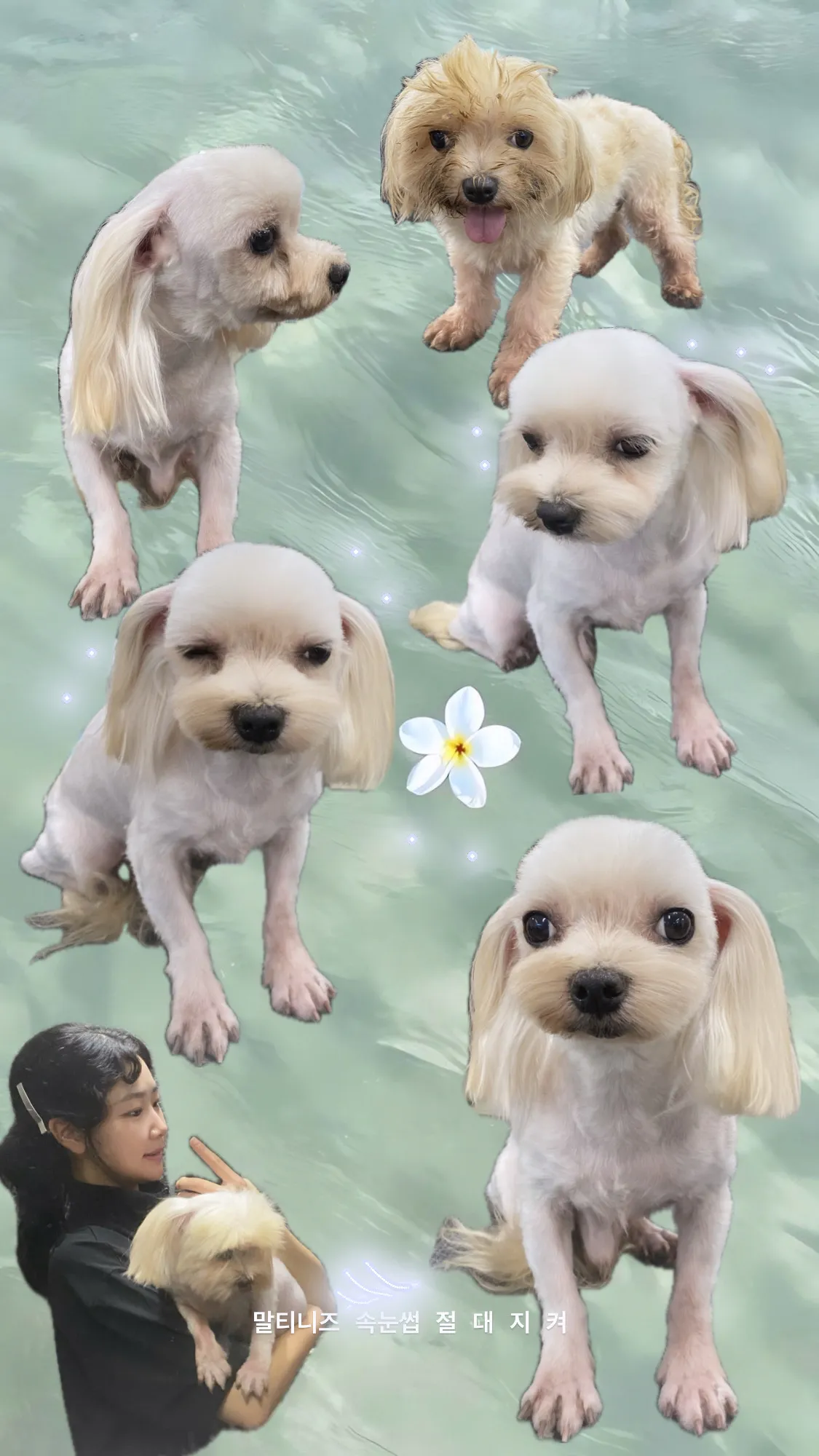 이미지 5