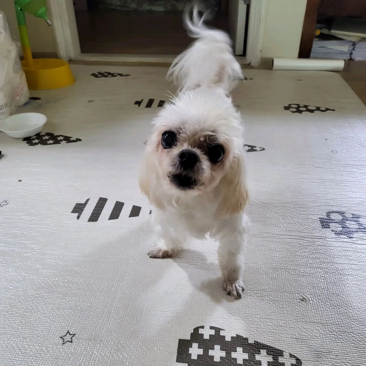 이미지 3