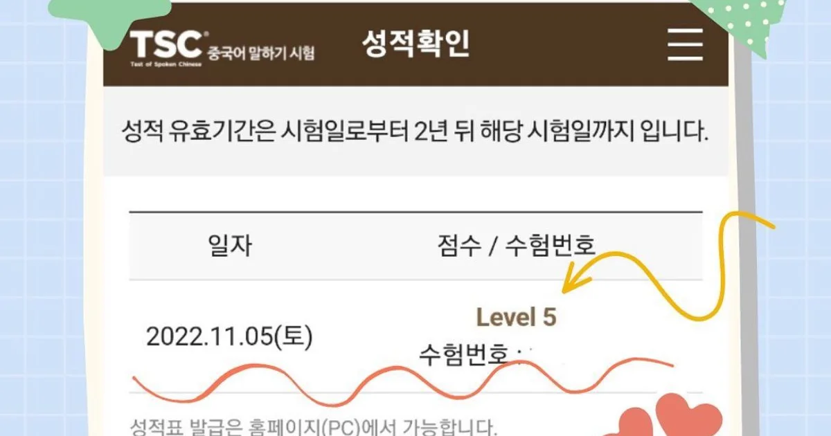 TSC / 김다솜 - 숨고, 숨은고수 TSC