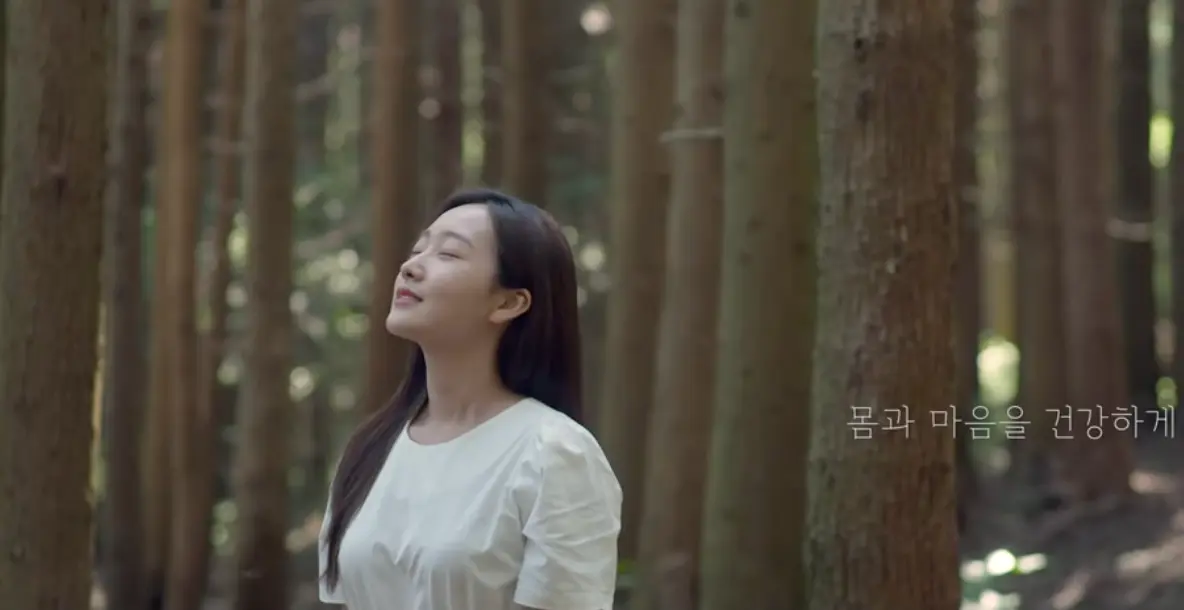 이미지 4