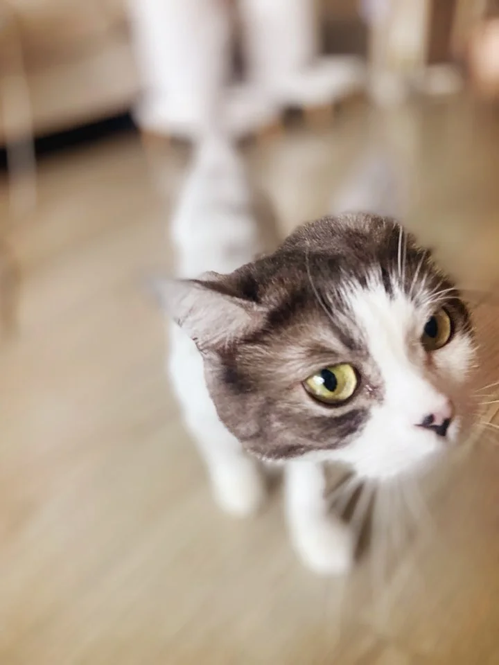 이미지 3