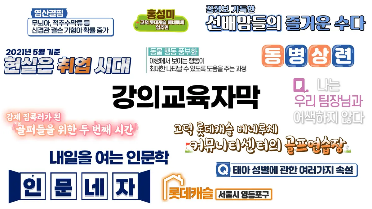 이미지 5