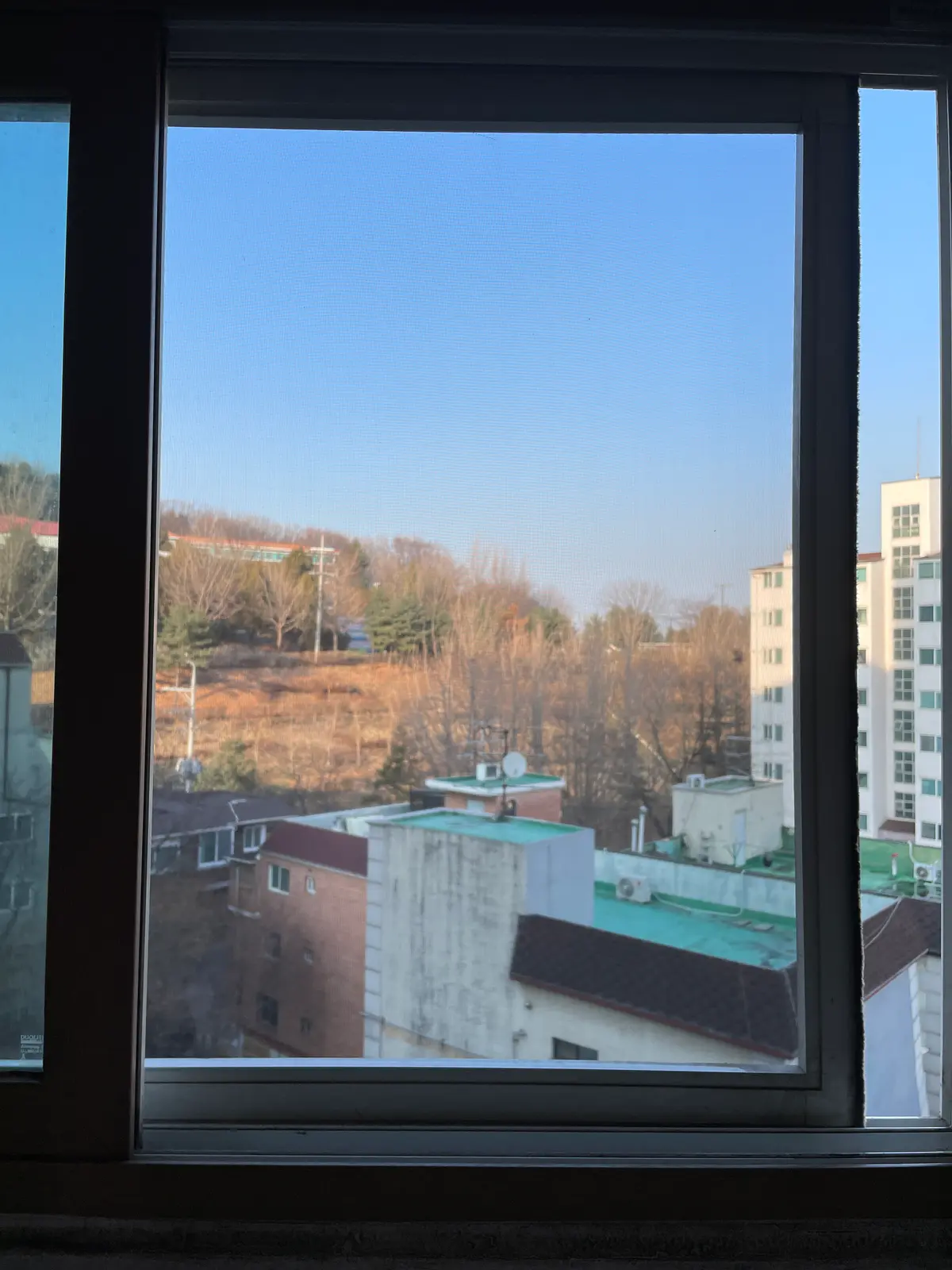 이미지 7