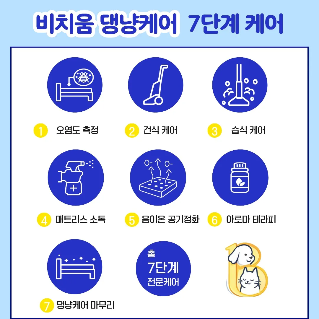 이미지 12