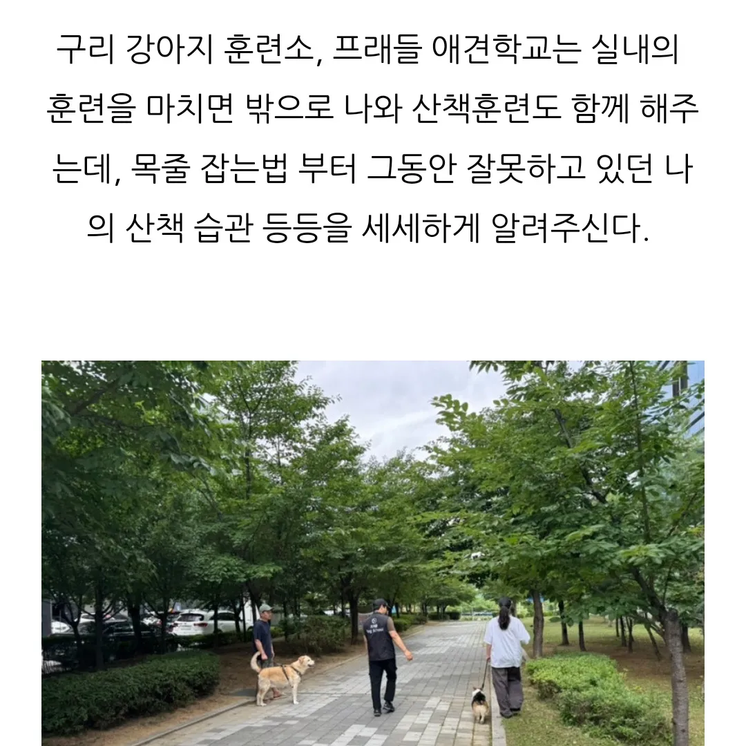 이미지 6