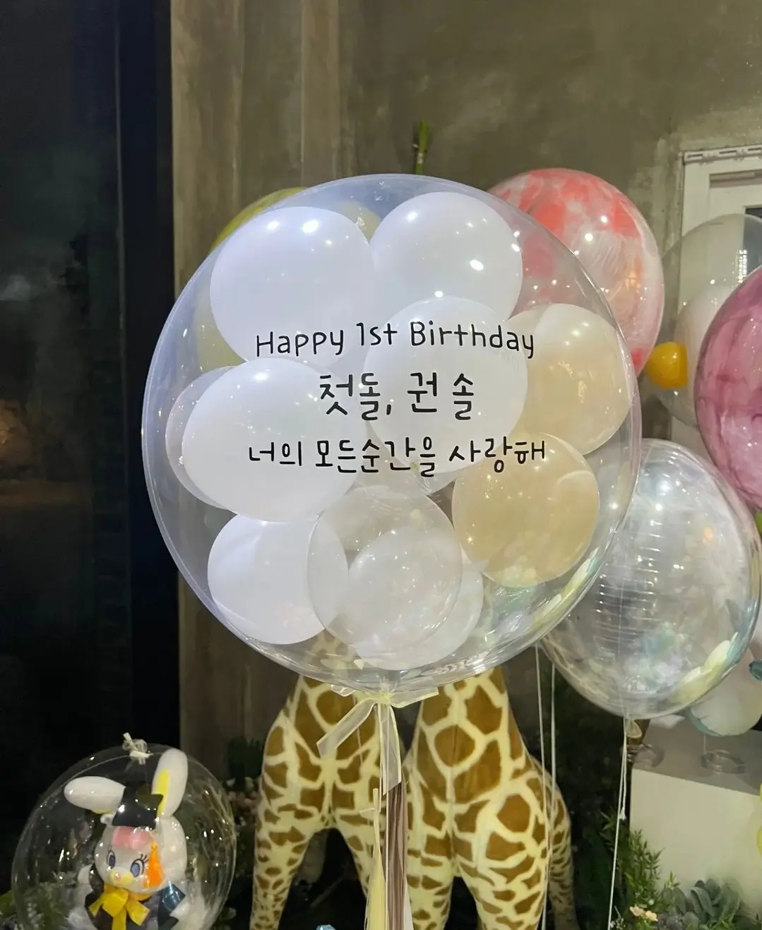 이미지 5