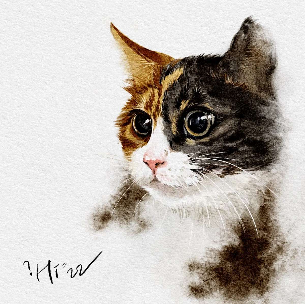 이미지 7