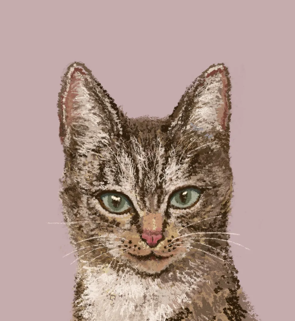 이미지 5