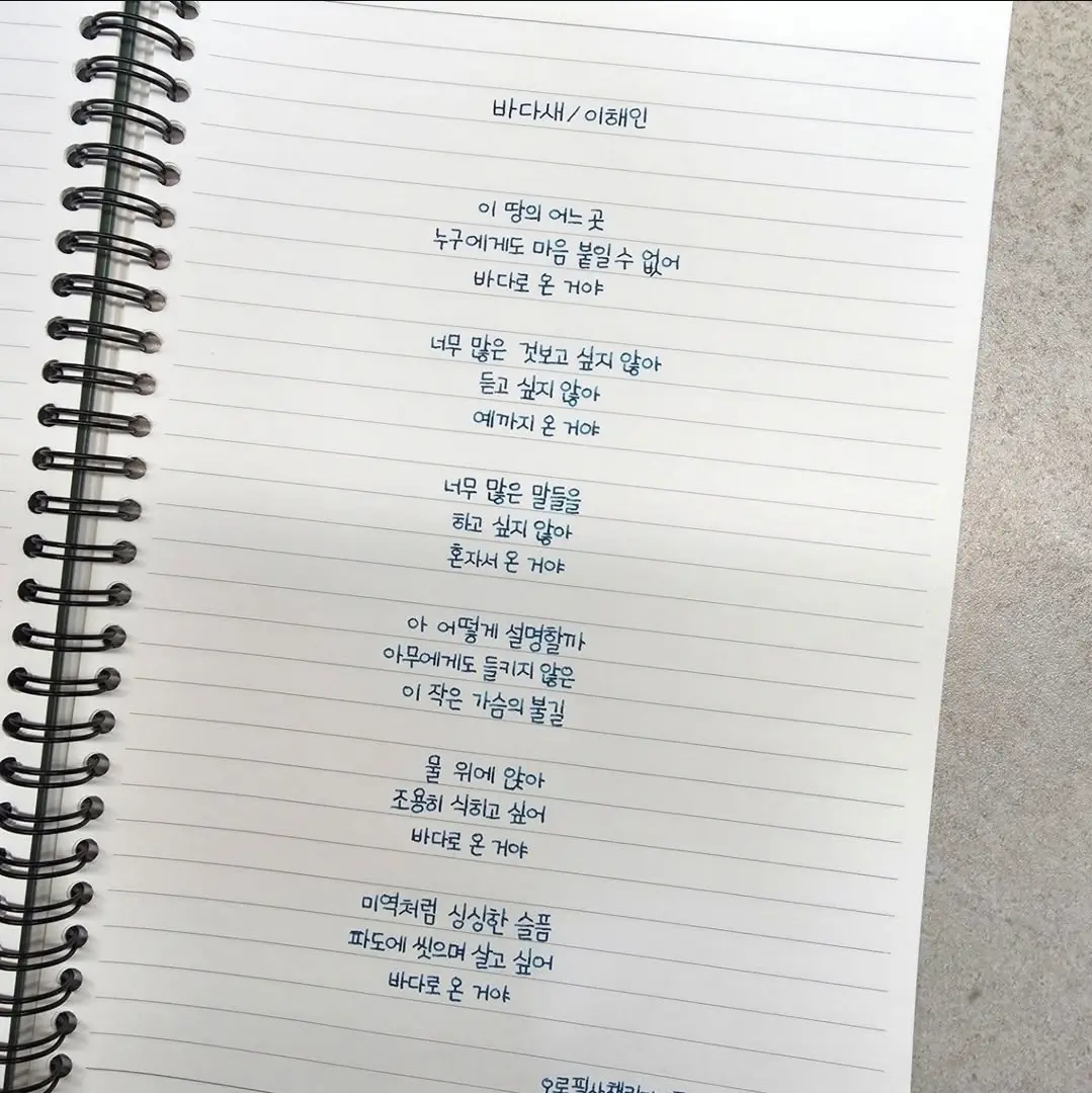 이미지 14