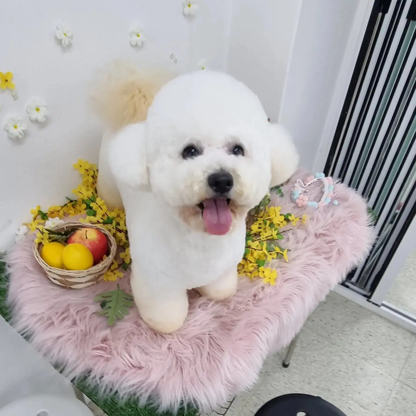 이미지 10