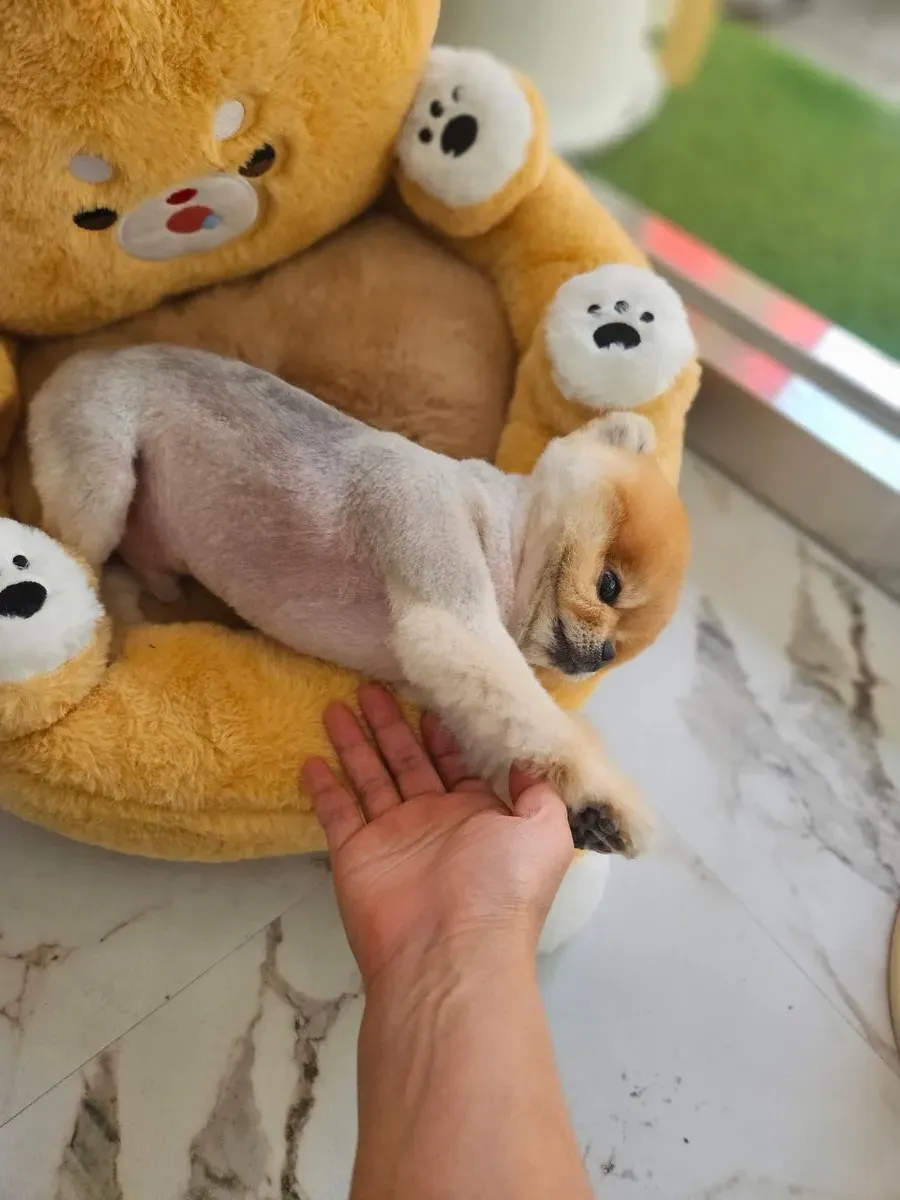이미지 16