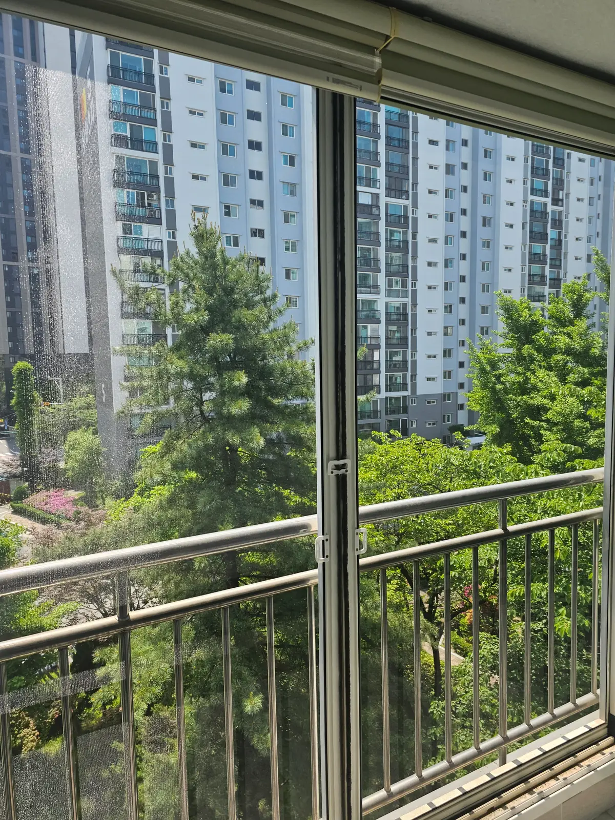 이미지 8