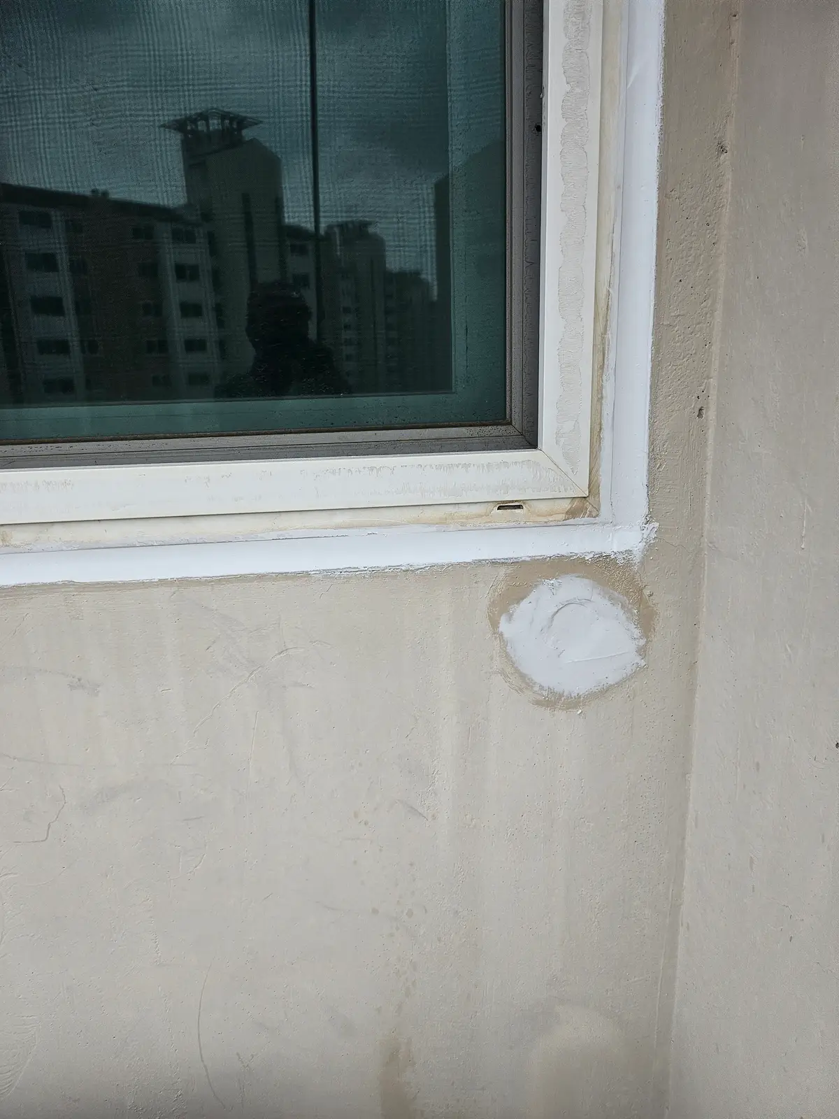 이미지 8