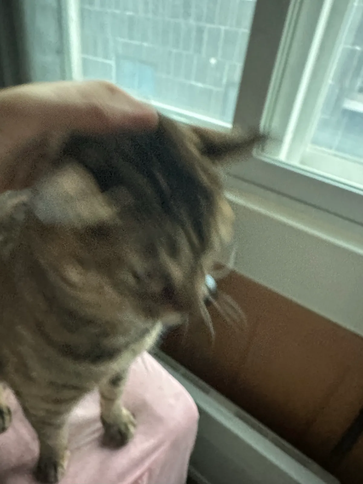 이미지 5