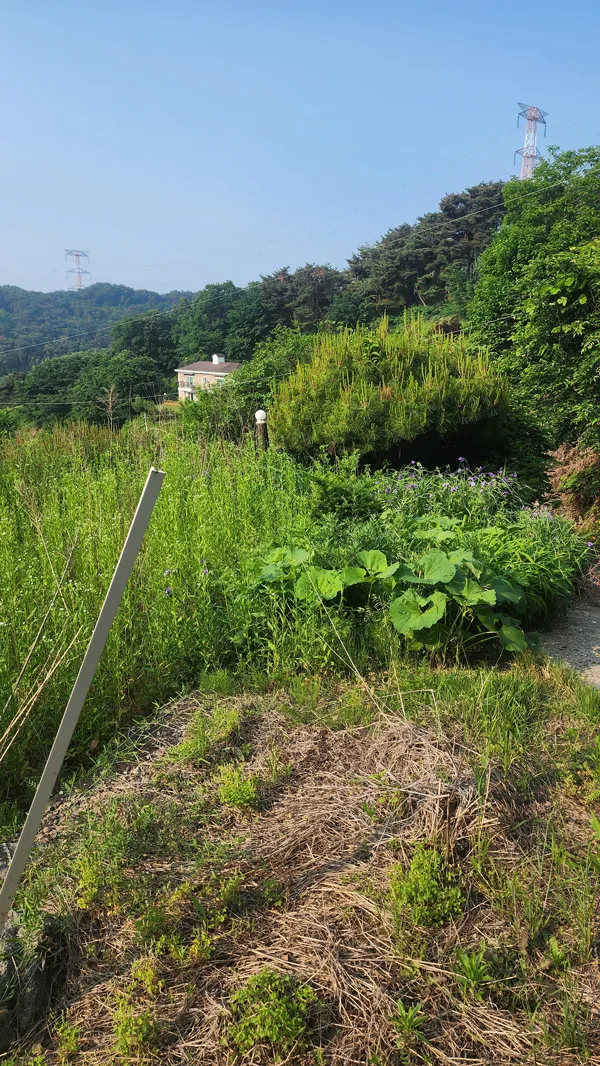 이미지 7