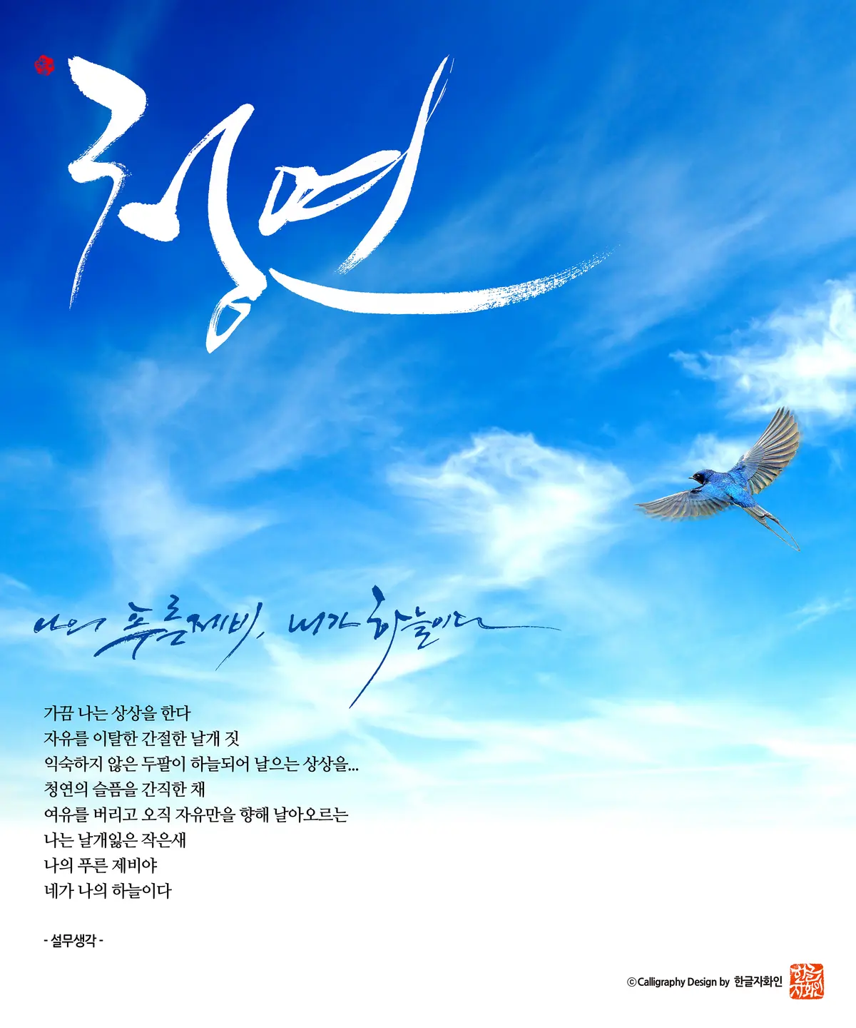 이미지 5