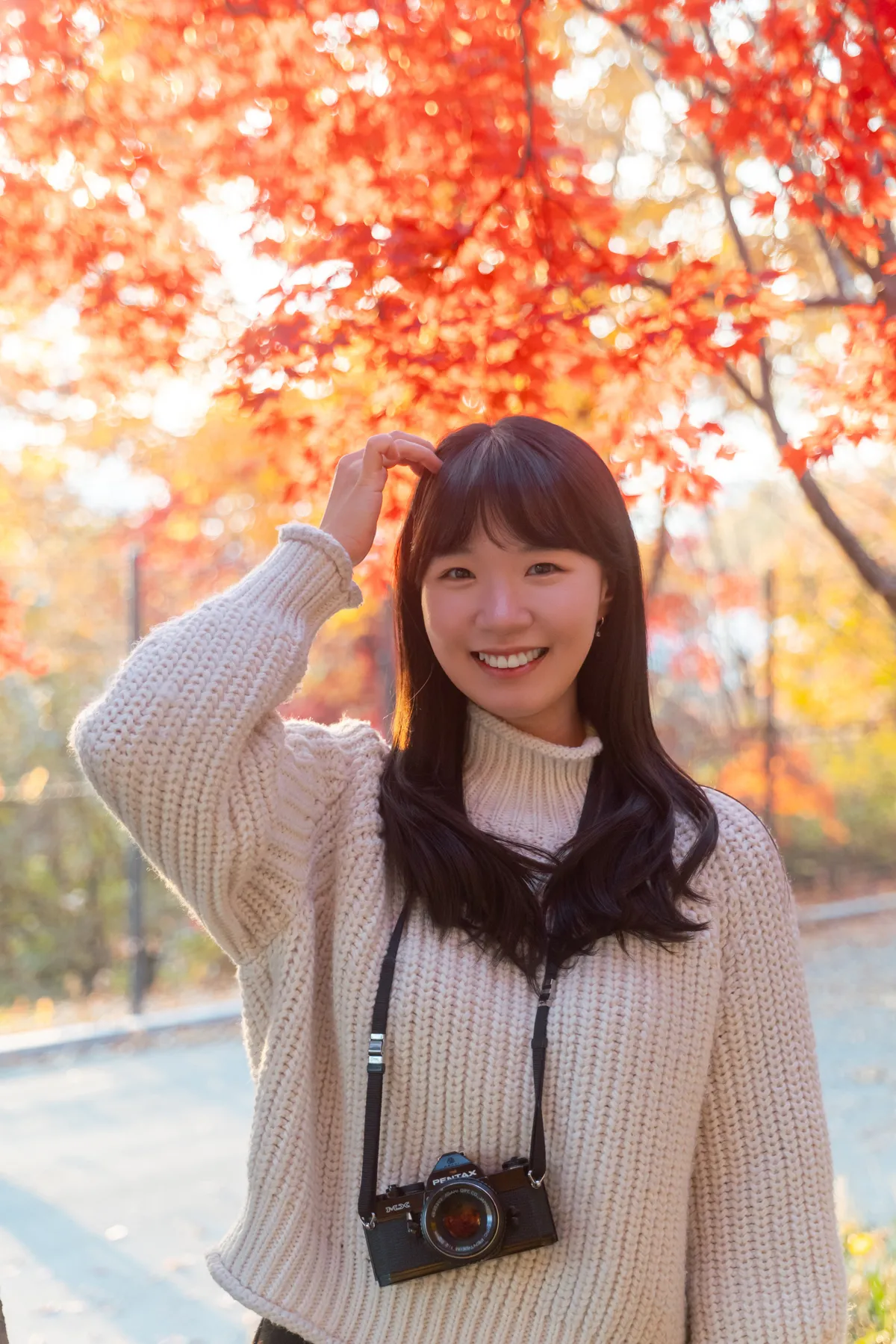 이미지 6