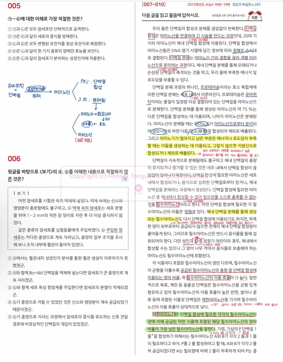 이미지 8