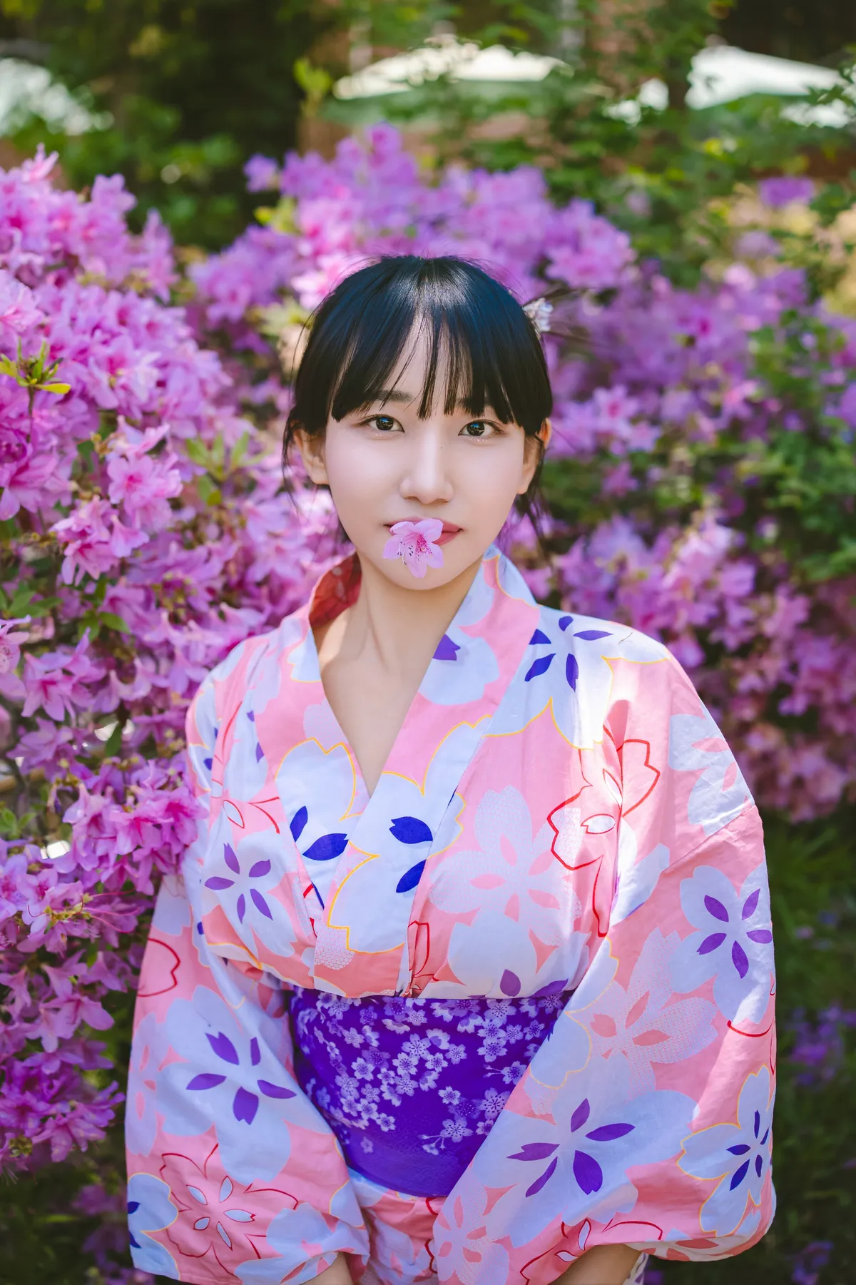 이미지 14
