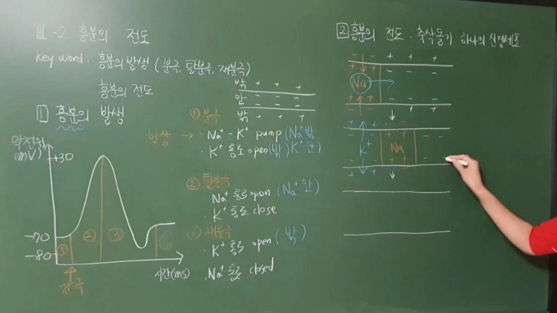 이미지 9