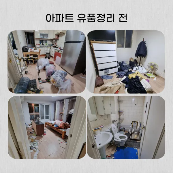 이미지 8