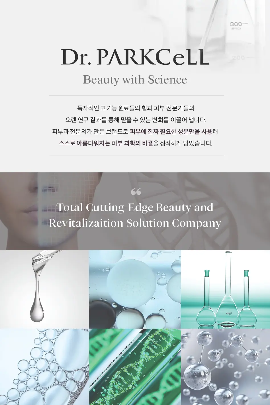 이미지 11