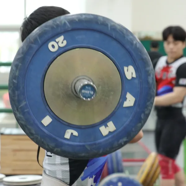 이미지 7
