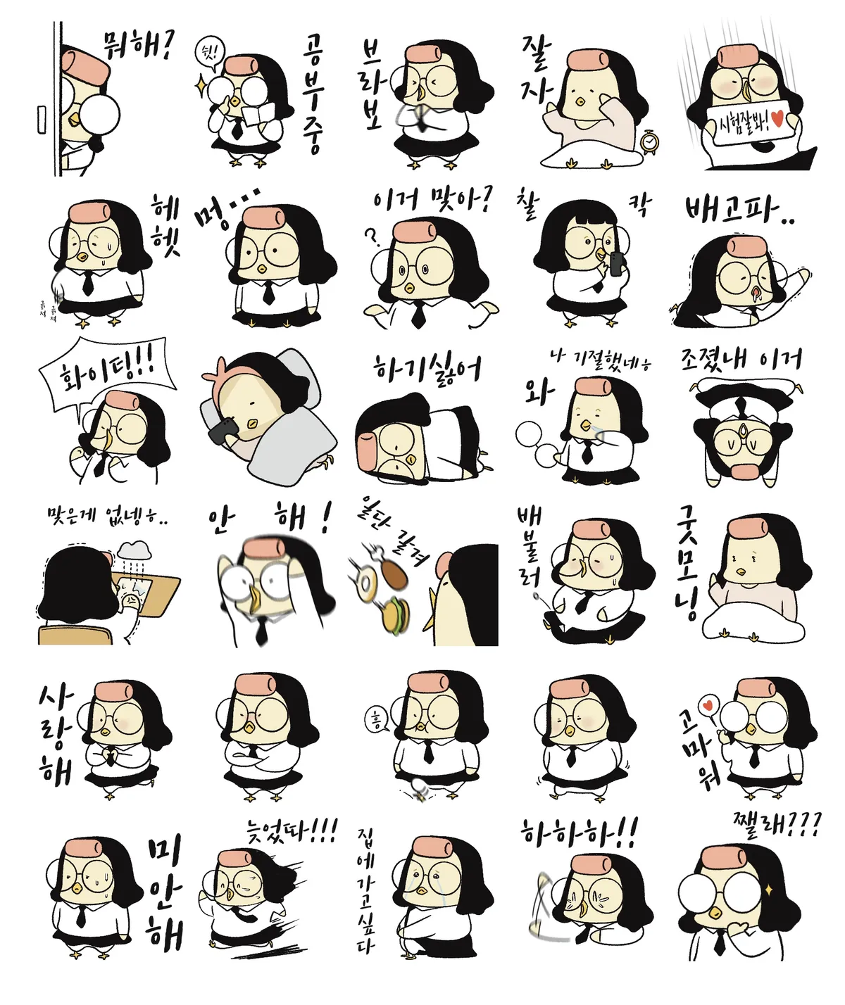 이미지 12