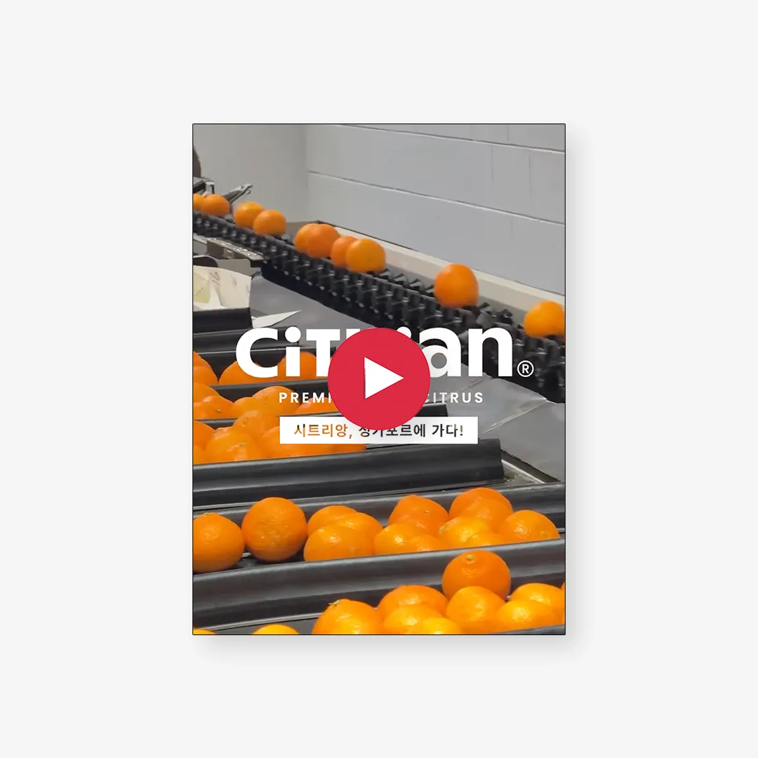 이미지 8