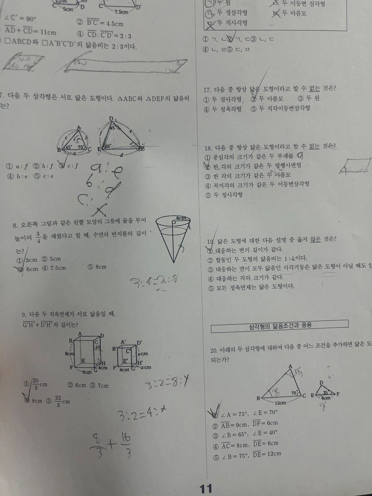 이미지 3