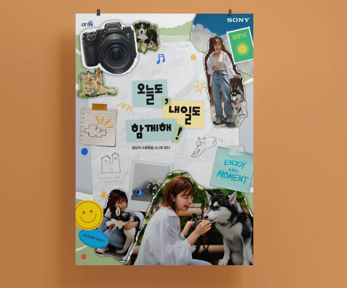 이미지 3
