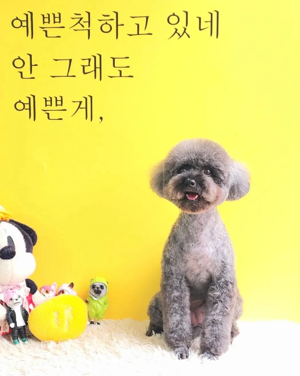 이미지 4