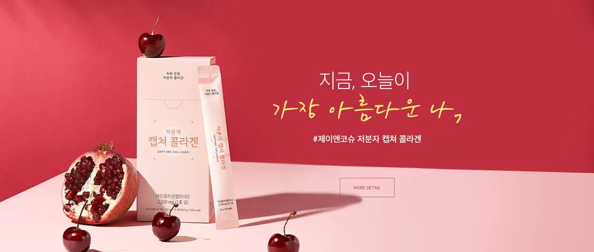 이미지 11
