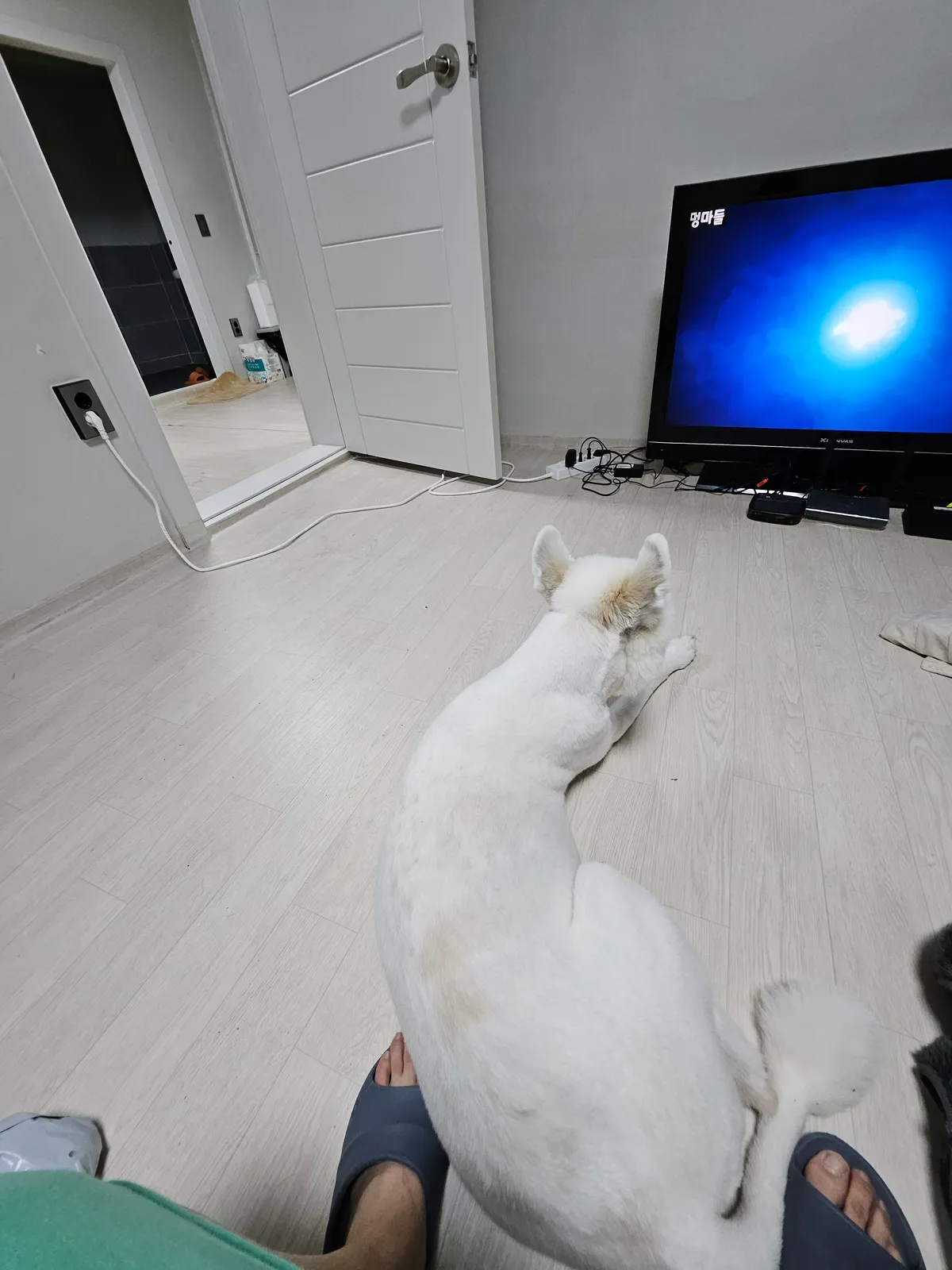 이미지 3