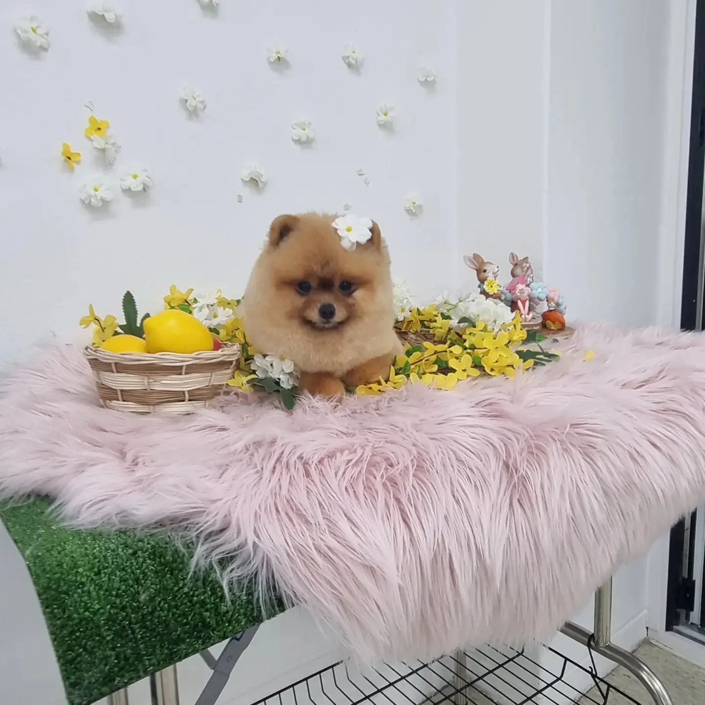 이미지 4