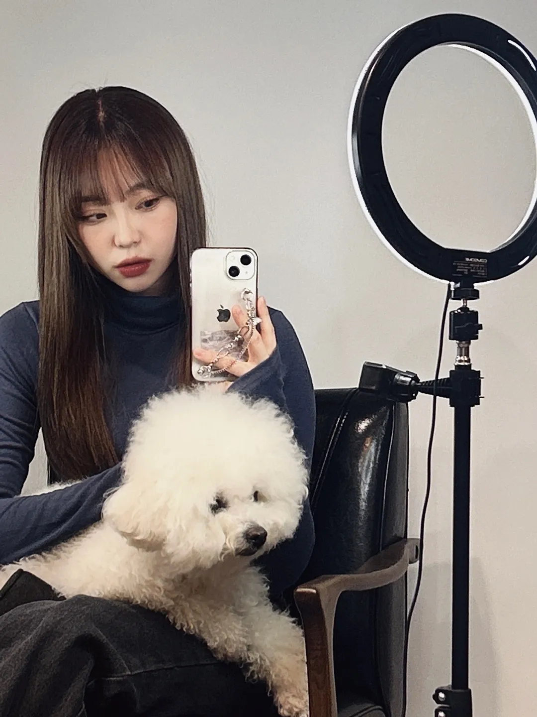 이미지 5