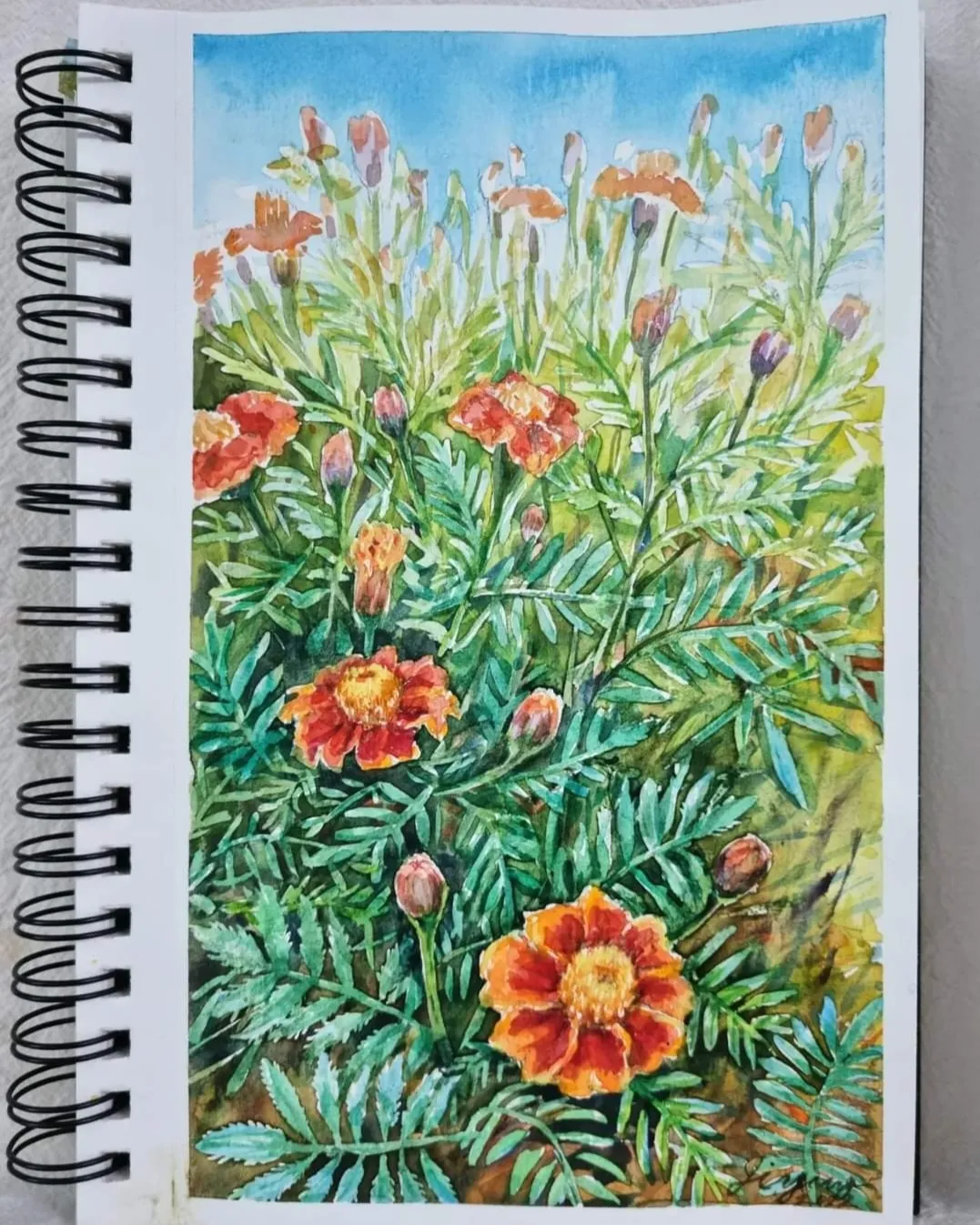 포트폴리오 이미지