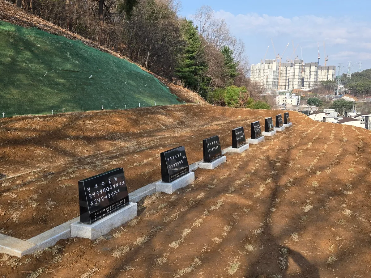 이미지 6