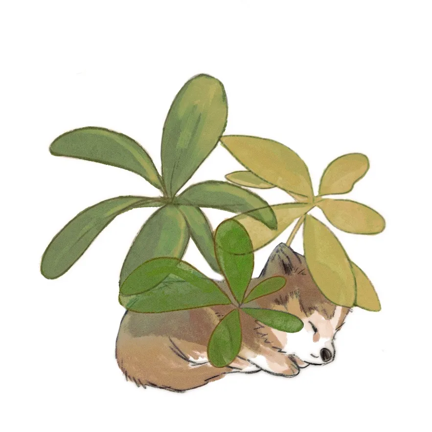 이미지 6