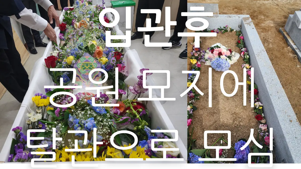 이미지 7