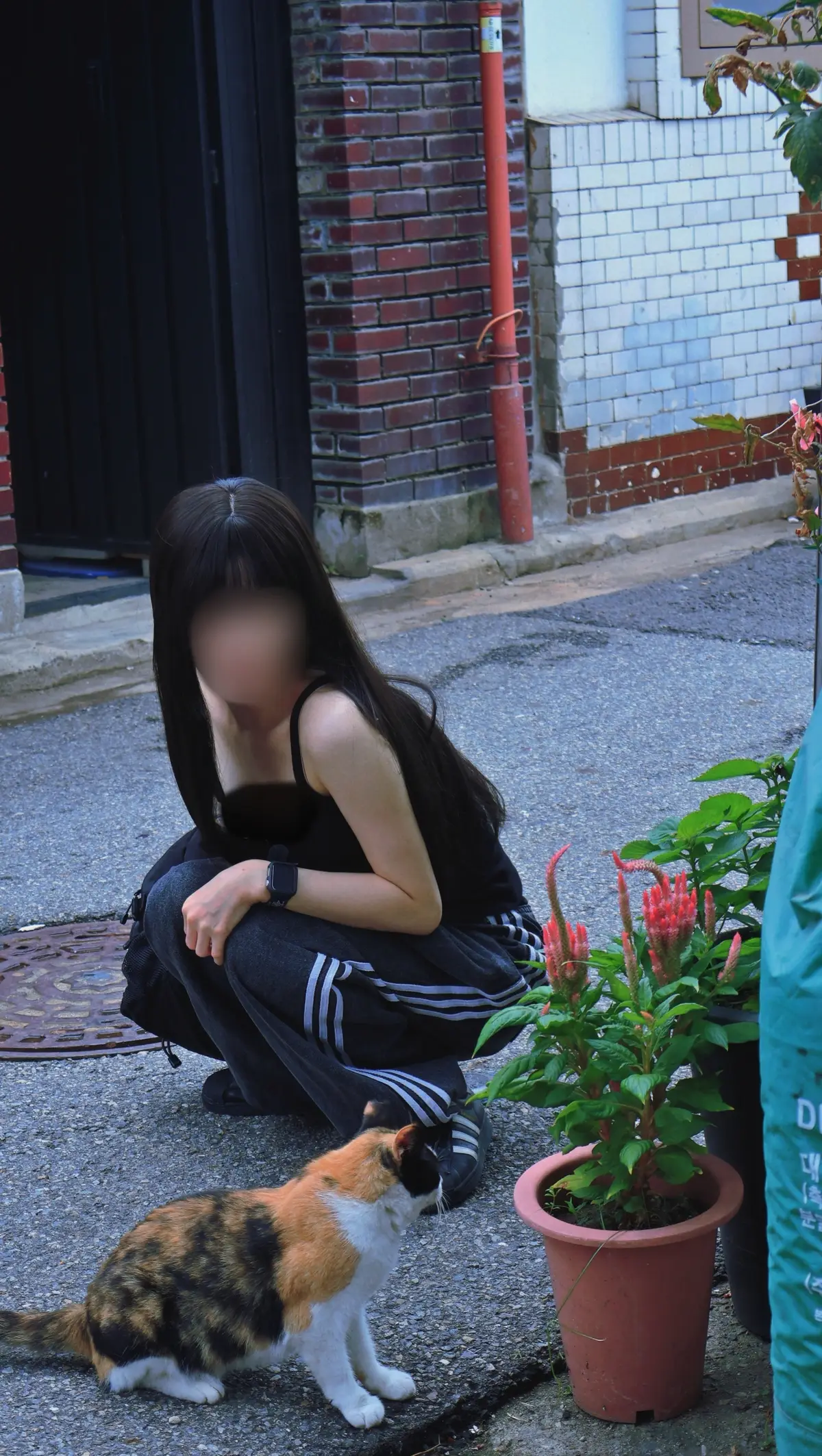 이미지 8