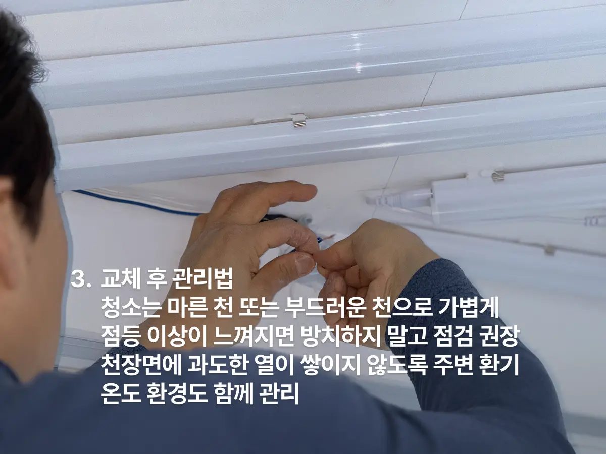 이미지 10