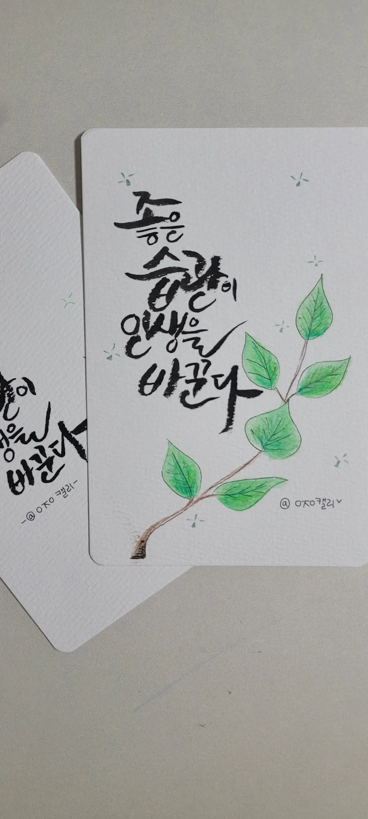 이미지 8