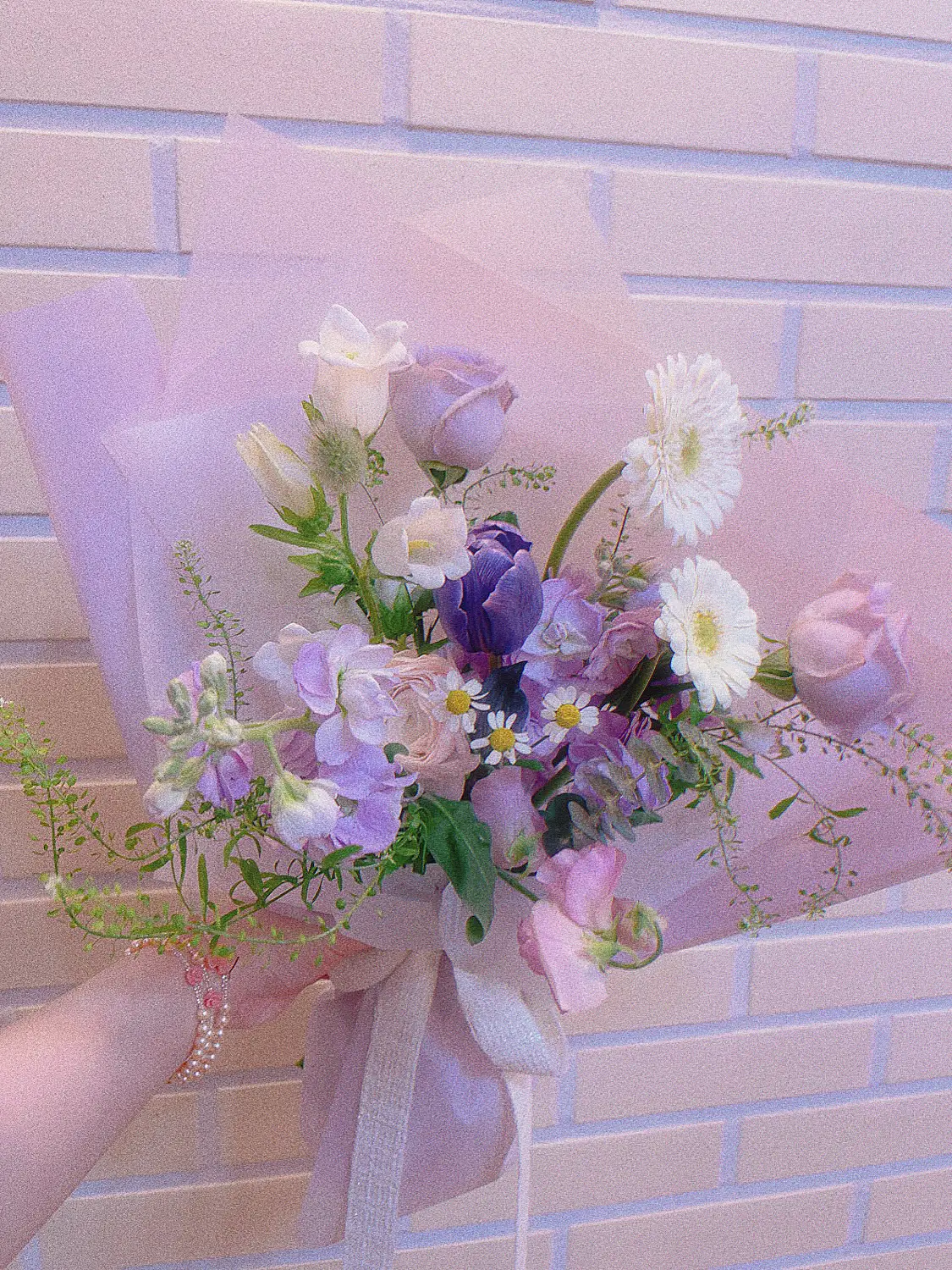 이미지 9