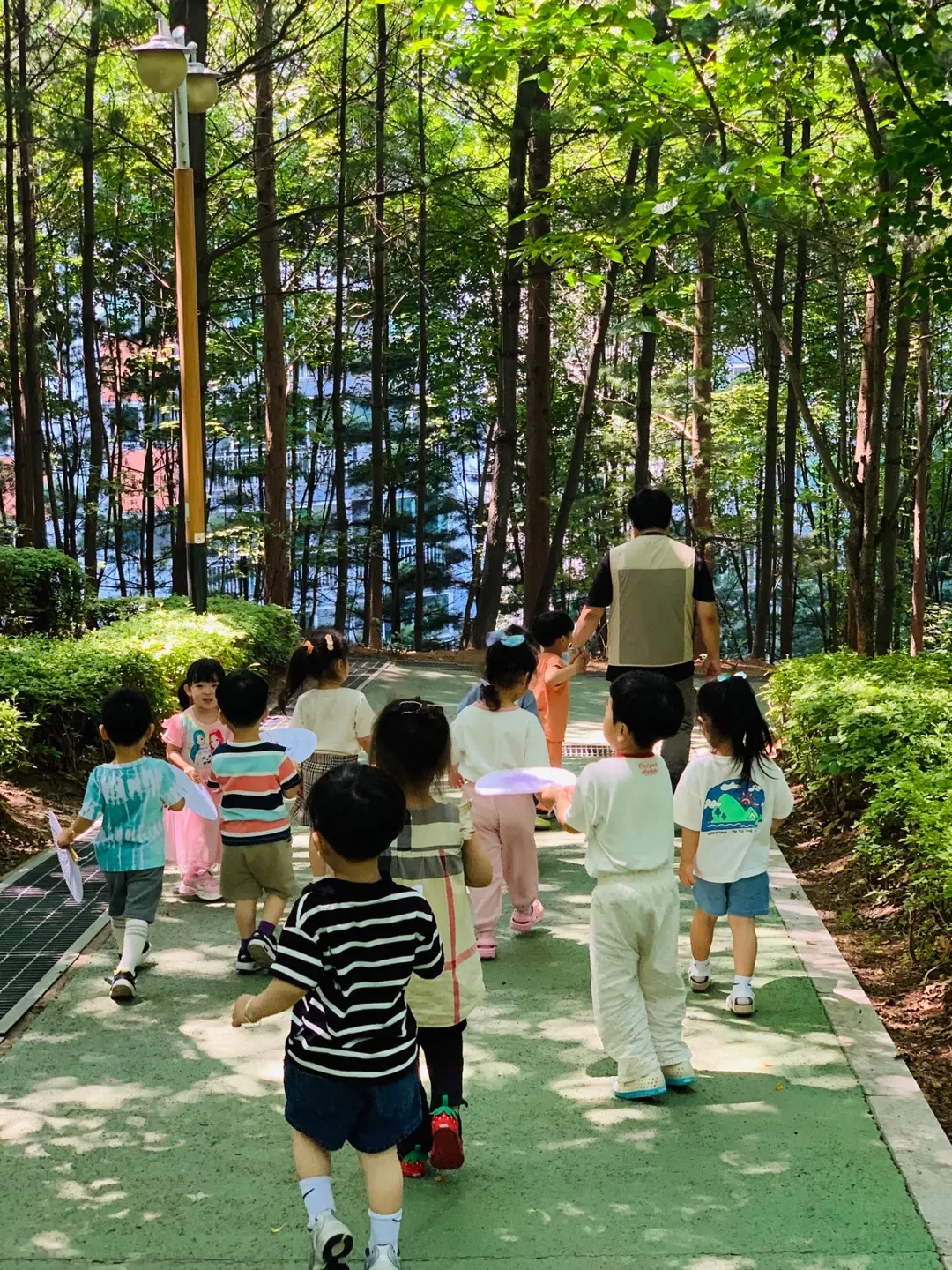 이미지 5