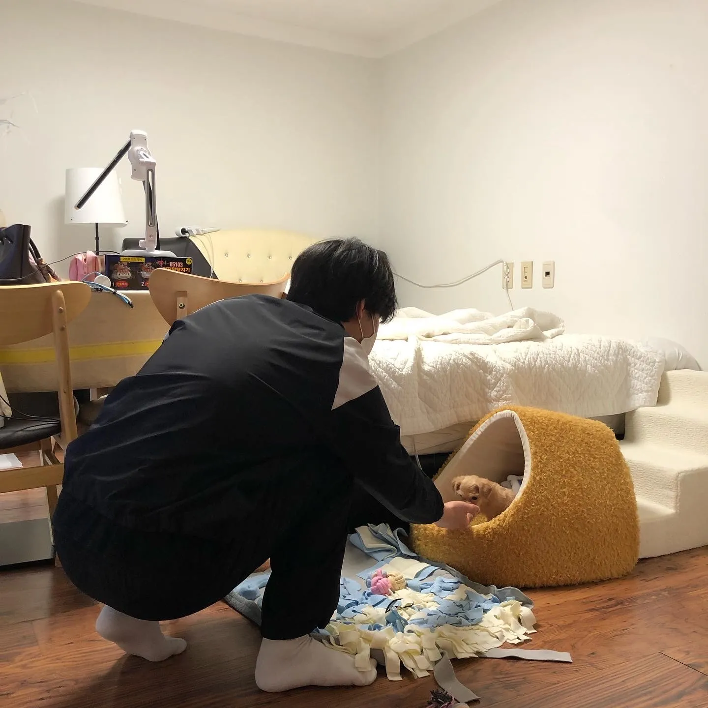 이미지 8