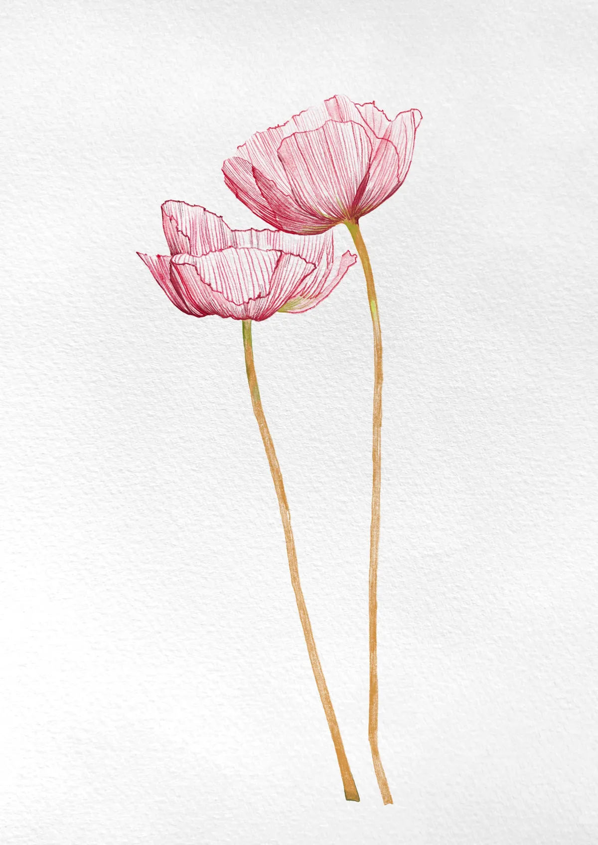 이미지 14