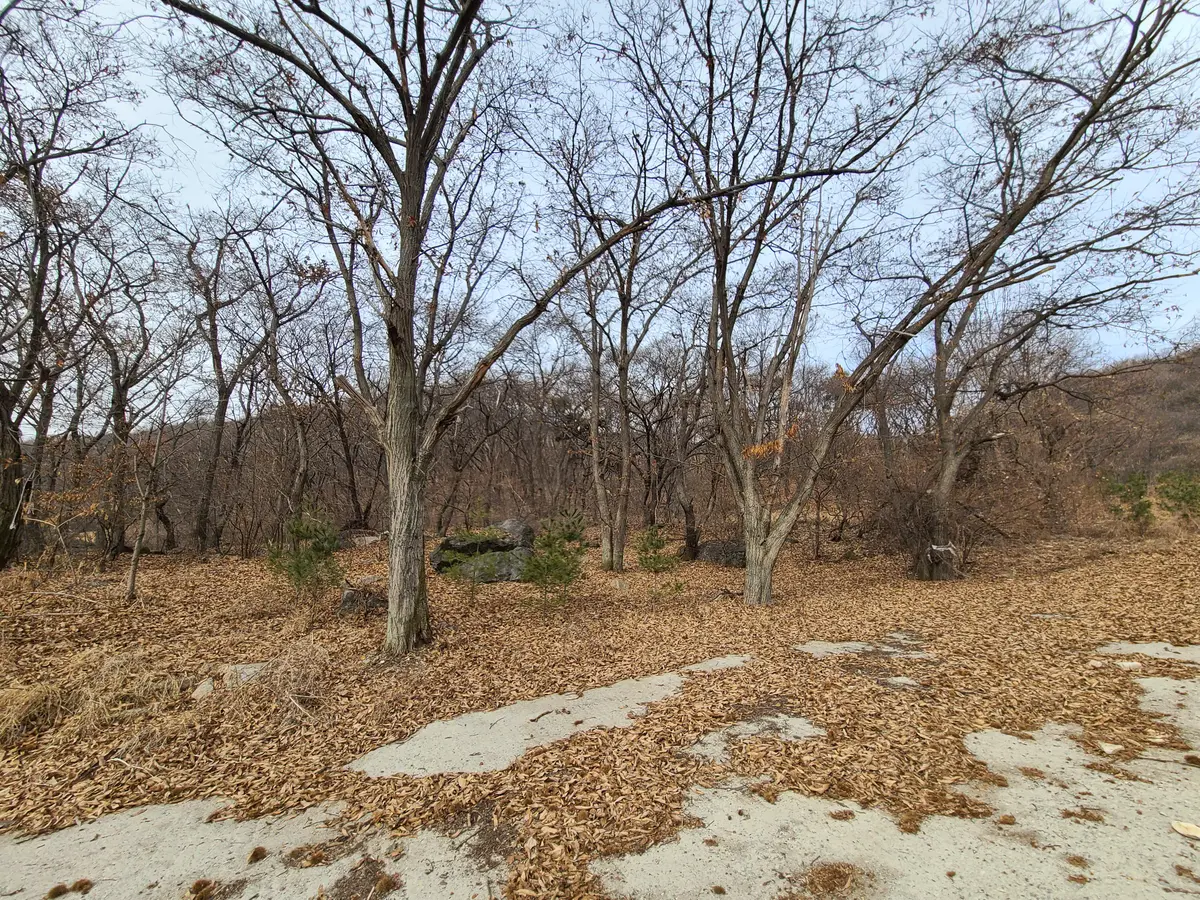 이미지 5
