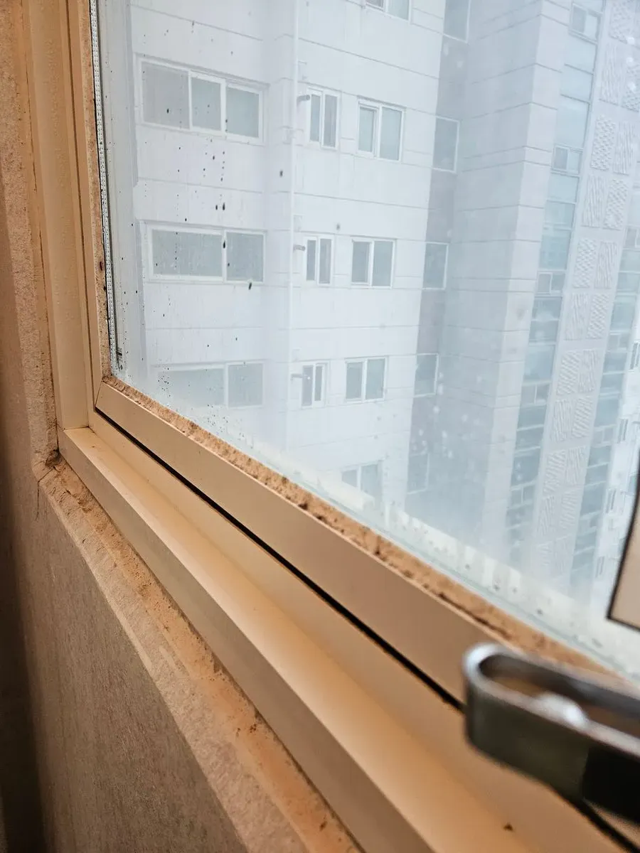 이미지 8